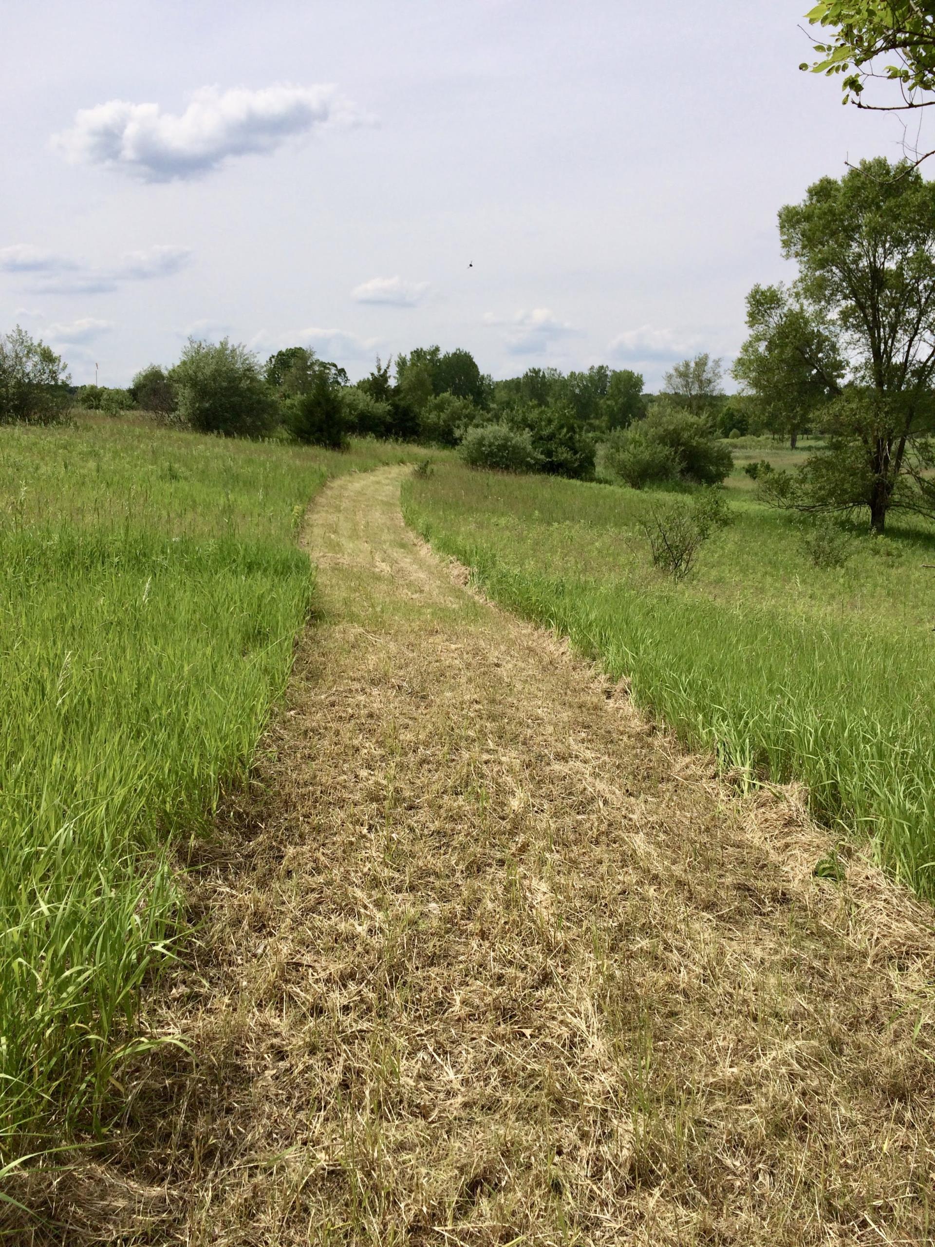 Mowed path in field behind Township Hall